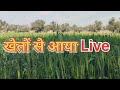 Rakeshlambaofficial is live! खेतों से आया live !! #farming #fendt #farms @Rakeshlambaofficial