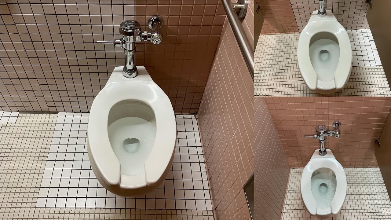 Three 1988 Eljer Sanus Toilets. YouTube