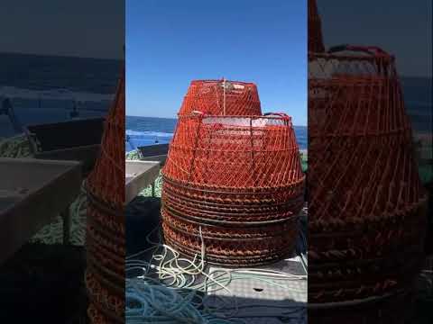 More crab fishing
