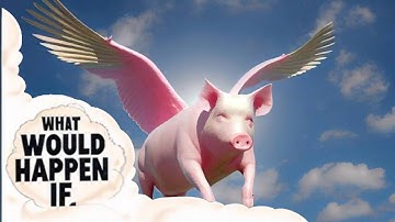 what would happen if pigs fly