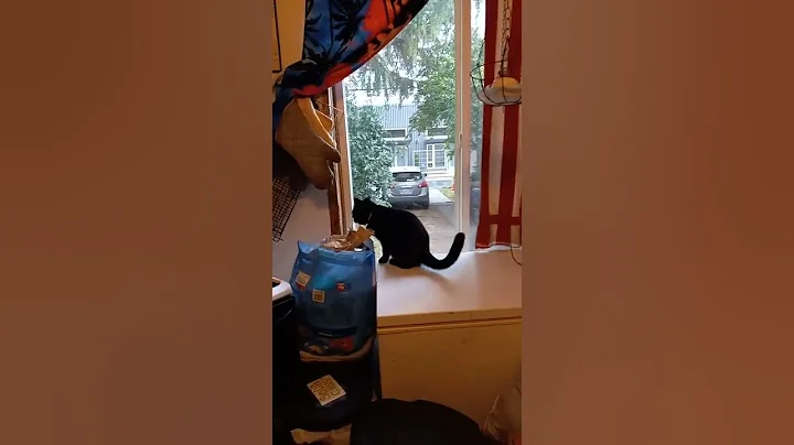 scratching window