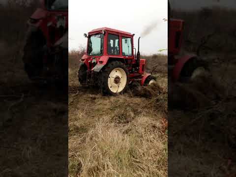 MTZ 82 Belarus