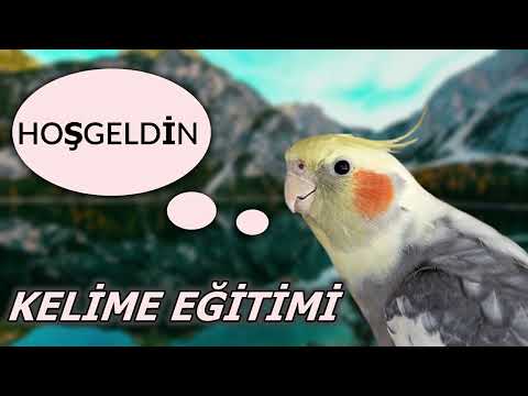 Hoşgeldin - Sultan