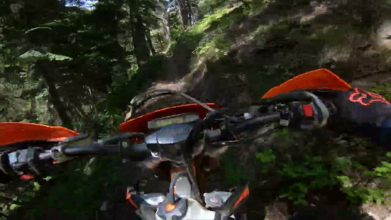 South Fork Taneum Trail - It was worth it