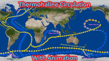Thermohaliene circulatie (meridionale omkering) gedetailleerde uitleg met animatie voor UPSC