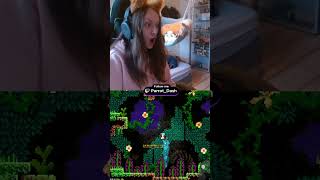 Celeste manhunt is kinda crazy