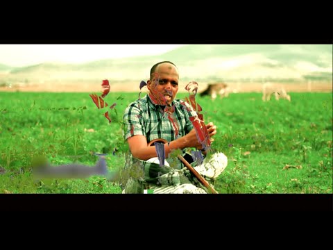 Dhaanto Cusub Qoraxay Cisman Jagnaa Muqaalo Hore 2021