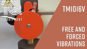 Free and Forced Vibrations TM1016