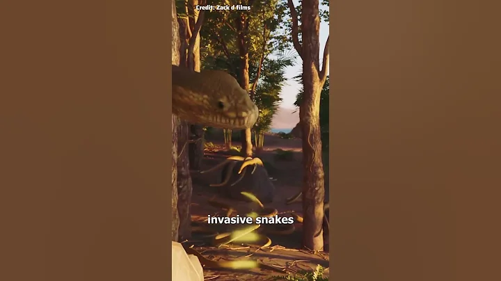 Why Mice With Parachutes Were Dropped 😮(720P_HD)