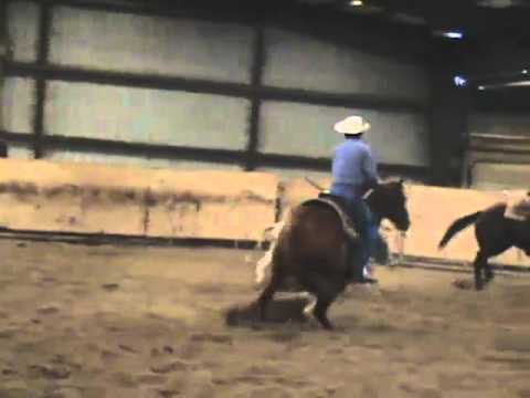 Poco Plumb Sandy - Brooks Quarter Horses - Quarter...