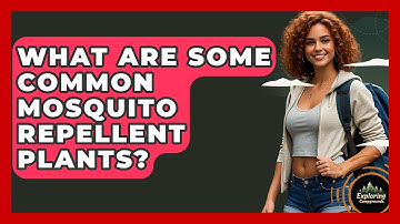 What Are Some Common Mosquito Repellent Plants? - Exploring Campgrounds