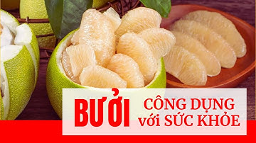 Công Dụng Của Quả Bưởi | Các Món Chế Biến Từ Bưởi |  TQT Channel