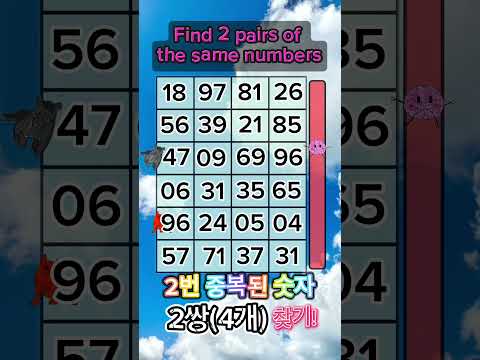 Find 2 pairs