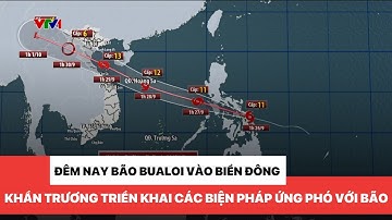 Đêm nay bão Bualoi vào biển Đông, cần khẩn trương triển khai biện pháp phòng - chống bão