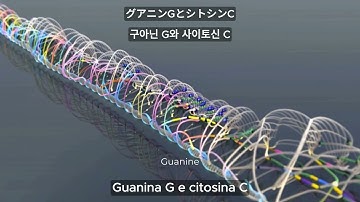 7. The Convergence of Computational Science and Genetic Engineering.