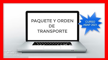 🎓 CURSO ABAP : PAQUETE Y ORDEN DE TRANSPORTE 🎁 OFERTA ESPECIAL CURSO COMPLETO POR 5€ 🎁