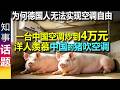 热浪肆虐德国, 为何德国人无法实现空调自由?一台中国分体式空调被炒到4万元 | 欧洲人羡慕中国的猪吹空调
