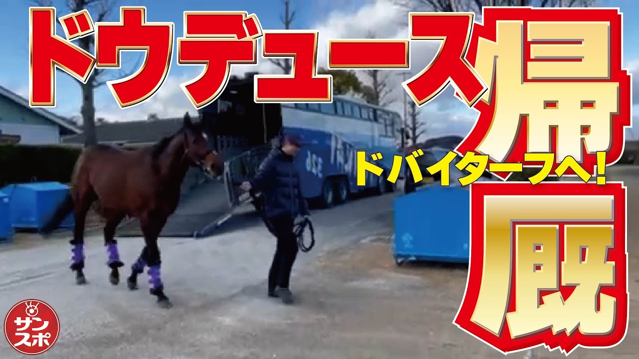 おうまさんイヤーマフ芦毛　Welcomeチャンス　有馬記念 JRA 有馬記念 welcomeチャンス おうまさん イヤーマフ 栗毛(鹿毛