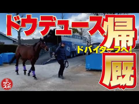 【ドウデュース帰厩!】昨年の有馬記念馬。2024年ドバイターフへ向け調整へ!!