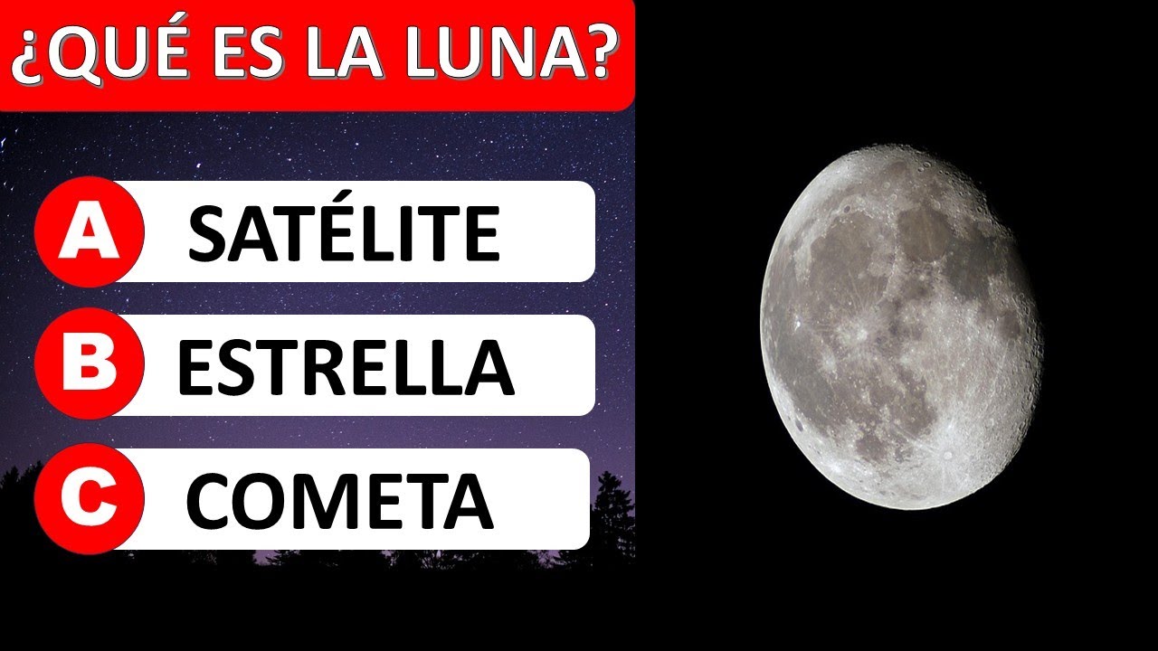 ¿Cuánto Sabes? 🧠 35 Preguntas De Cultura General