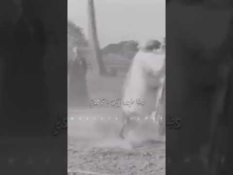 الزمان الجمل صعيدي مصر الصعيدي اكسبلور حركة الاكسبلور العرب اشتراك في القناة