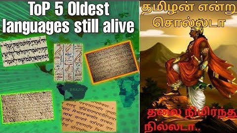 Top 5 Oldest languages  still alive / #Top5languages #mrphoenix #stillalive