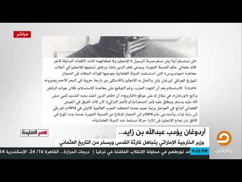 محمد ناصر هذه حقيقة النمر العثماني فخر الدين باشا الذي ادعى الجاهل عبد الله بن زايد عليه ظلم ا