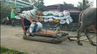 Dabest experience #buhayprobinsya #ofwvacation #pasagad 