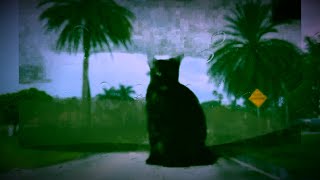 Testing - Official Video