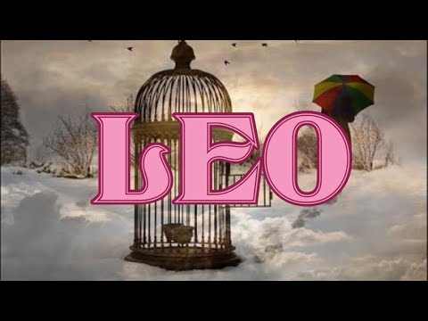 LEO - ALGO