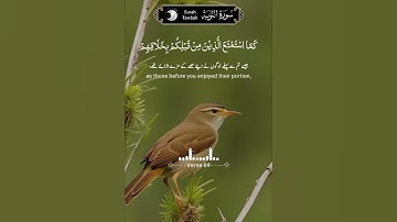surah al tuba ♡ سورة التوبة 🥀AL Quran #powerofquran #viralreels #viralshort #viralvideo