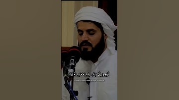 رعد الكردي سورة الفجر #رعد_الكردي #سورة_الفجر #قرآن_كريم #القرآن #islam #quran #raadalkurdy #الله