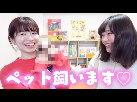 【ご報告】ペットを飼うことになりました♡