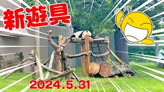 パンダ超速報🎉ブリセンに新遊具登場🤣👍ワイルドだろ？😁