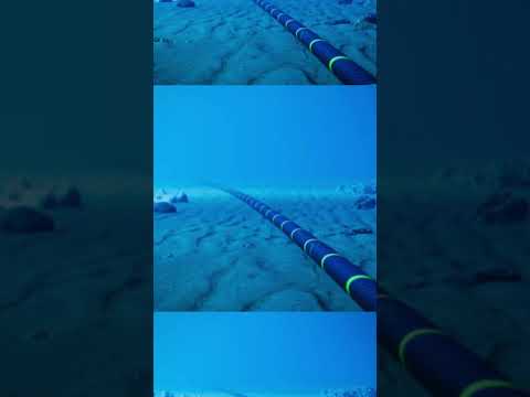 الألياف الضوئية الحل الأمثل للاتصالات عالية الأداء