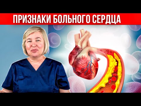 Video: Testiranje srčnih črvov