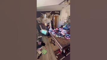 100 dagen opruimen #schoonmaken #ontspullen #transformatie