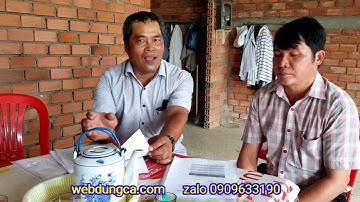 Kinh nghiệm Nuôi cá đối mục trong ao tôm nước lợ - Dũng cá tv