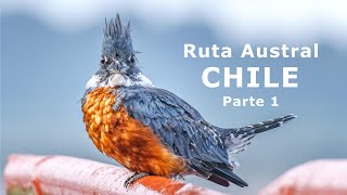 Ruta Austral de Chile - Parte 1- Futaleufú a Chaiten y hasta Puyuhuapi -Naturaleza de la Patagonia