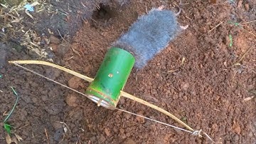 Amazing Bamboo Bow Rat Trap For Catching