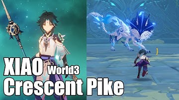 AR33 Xiao VS Boreas (Physical build) [Genshin Impact]