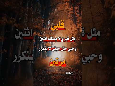 قلبي مثل قبري