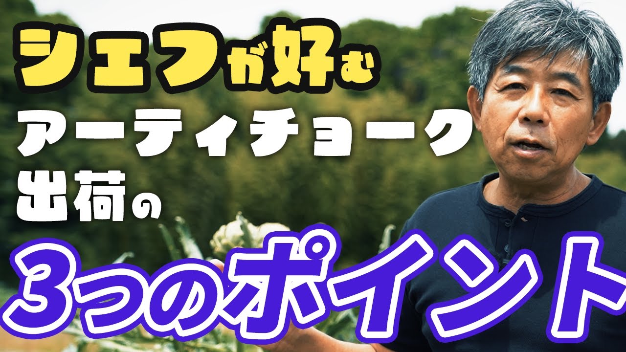 アーティチョーク出荷の3つのポイント | シェフが好む | 効率的に作業