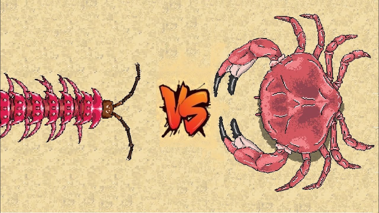 CRAB VS PINK DRAGON MILLIPEDE Pocket ants YouTube