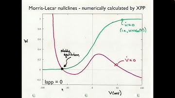 Cellular Biophysics and Modeling - Lecture 13 - Part 1