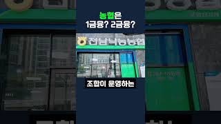 농협 1금융이야 2금융이야?🧐