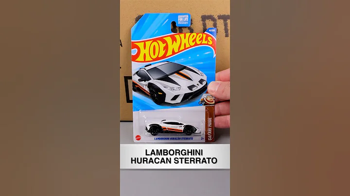 Winner of 2025 Hot Wheels B Case