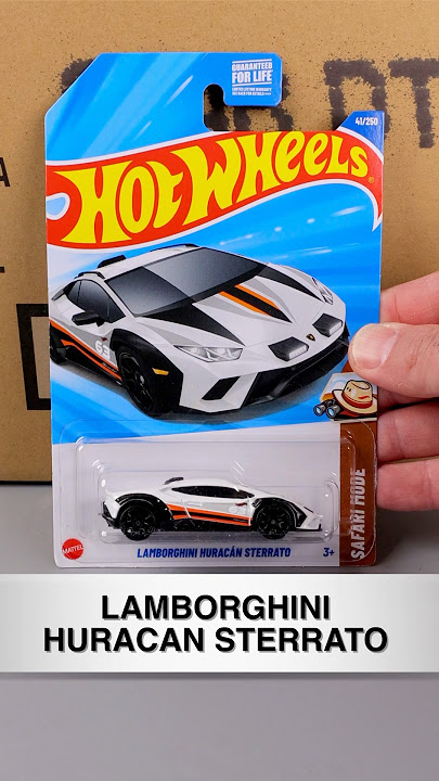 Winner of 2025 Hot Wheels B Case