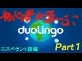 エスペラント語に初挑戦！！【Duolingo】part1