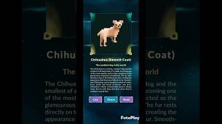 Nonogram Life - Pets - Chihuahua (Smooth Coat) [20x20] #pixeption